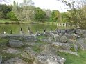 2014-10-02 16-32-06 Rando parc de la Courneuve CGn